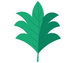 winter ornament, symbols of plants, flowers