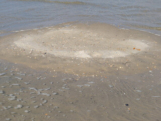 Die Insel Spiekeroog in der Nordsee
