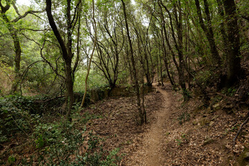 Italien - Toskana - Populonia - Wanderweg zur Cala San Quirico