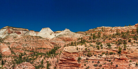Fototapeta premium Nature landscape of Zion National Park, USA. Aerial view of amazing mountains and canyon