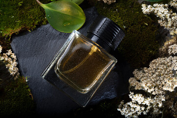perfume bottles around green moss, flowers and leaves  . close up. perfumery concept