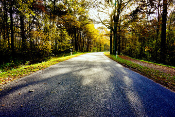 Herbstlicher Wald an einer Strasse mit leichter Kurve perspektivisch mittig im Bild  gesäumt von zahlreichen Bäumen noch viele Blätter daran rot gelb orange grün sonnendurchflutet 