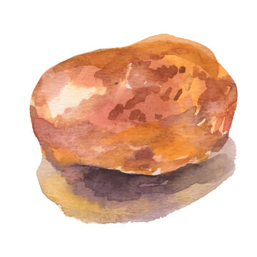 Watercolor handmade potato on white background, vector illustration.