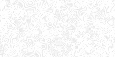 White paper texture abstract pattern with lines topographic map background. Line topography map contour background, geographic grid. Abstract vector illustration.	
