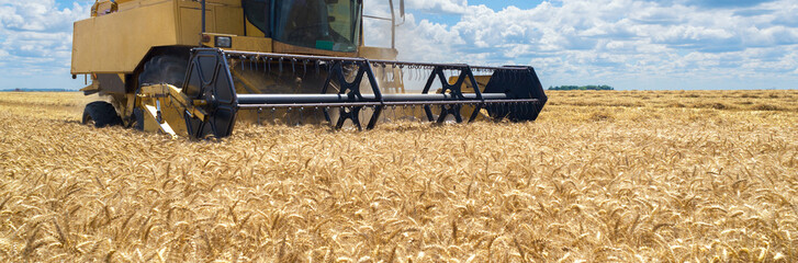 Harvester combine harvesting wheat on a sunny summer day
