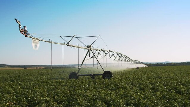 Pivot at work in potato field, watering crop for more growth. Center pivot system irrigation. Watering crop in field at farm. Modern irrigation system for land and vegetables growing on it.