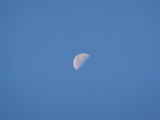 Vue de la lune, demi lune en plein jour au soleil