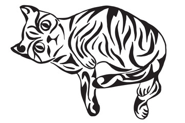 Tattoo illustration of a cat