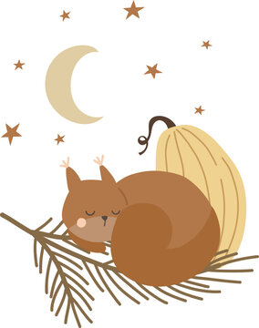Vector composition of a baby squirrel sleeping near a pumpkin, autumn composition, vector illustration for design, print, pattern, isolated on white background