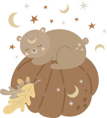 A baby bear sleeps on a pumpkin, autumn composition, vector illustration for design, print, pattern, isolated on white background