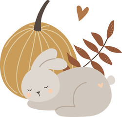 A baby rabbit sleeps near a pumpkin, an autumn composition, vector illustration for design, print, pattern, isolated on white background