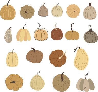 Autumn Pumpkin clipart vector set, vector illustration for design, print, pattern, isolated on white background