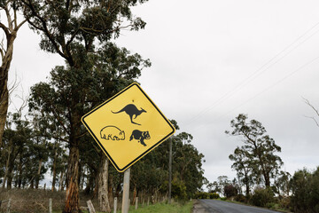 A yellow sign on the side of an Australian road warning traffic of native animals, pictured is a...