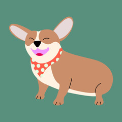friendly funny corgi dog