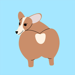 friendly funny corgi dog