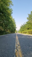 Naklejka premium road with yellow stripes and trees around in a summer day
