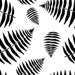 Tropical leaves of fern black silhouette, transparent seamless pattern