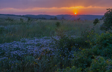 Obraz premium sunset over the field