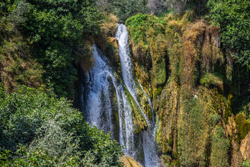 Fototapeta na wymiar green forest waterfall