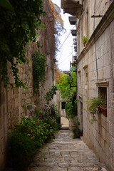 Korčula Old Town alley with plants and no people