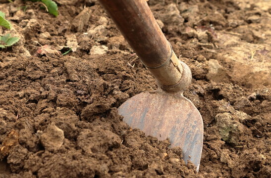 zappa arrugginita nel giardino