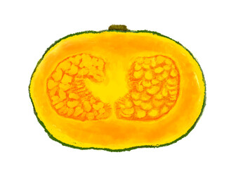 かぼちゃの断面