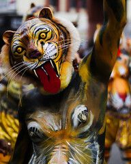 tiger in the night ( pullikali in thrissur)