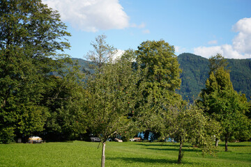 golf course in the morning