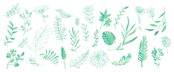 Hand drawn colorful plant set - universally usable. Botanical, chic and trendy plants. Hand drawn lines, elegant leaves for your own design. Flower branch and minimalistic modern plants.