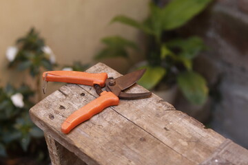 pruning shears