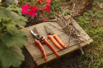 pruning shears