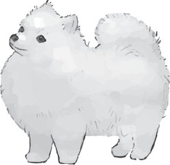 ポメラニアンのスケッチ手描き風のイラスト