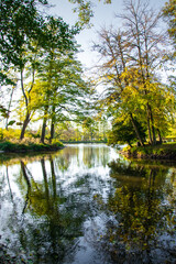 Fototapeta na wymiar Zwierzyniec, Roztocze, Poland. Autumn season. Colors of autumn and ducks swimming on the pond. Colorful trees