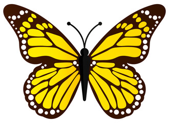 Fototapeta premium Beautiful yellow butterfly