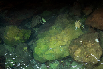 A clear river flowing in Sapadere Canyon. Antalya Province, Turkey.