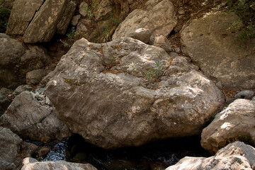 Stone in Sapadere Canyon Alanya Turkey.