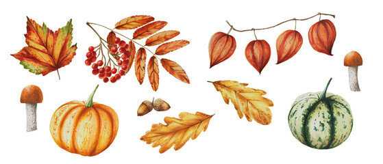 Autumn watercolor isolated illustration banner