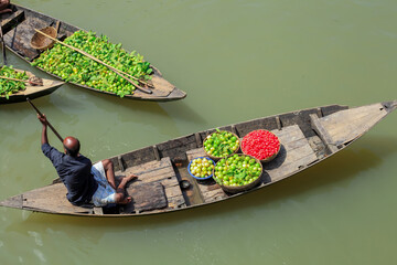 Floating guava market of Bangladesh is located in Jhalakathi and swarupkathi in the southern part...