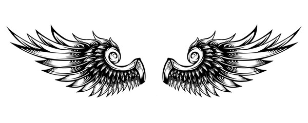 Vector angel wing tattoo design