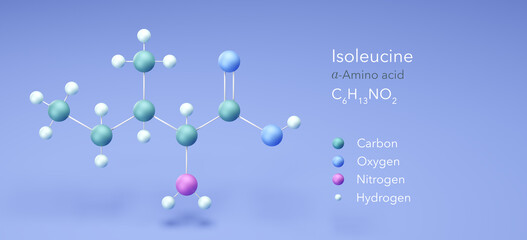 isoleucine, molecular structures, amino acid, 3d model, Structural Chemical Formula and Atoms with Color Coding