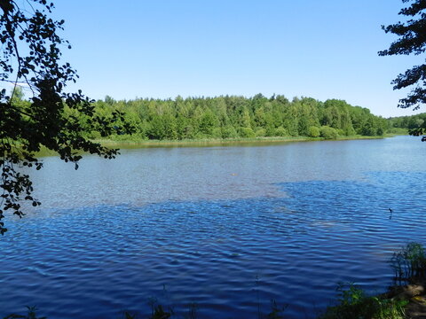 lake in the forest