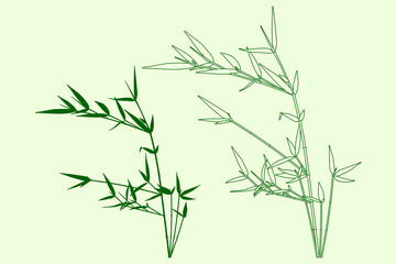 Green bamboo plant. Outline and silhouette bamboo branches. Vector illustration