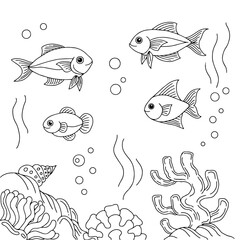 Fototapeta premium design aqua fish outline coloring page for kid