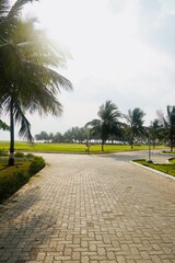 Obraz premium palm trees on the street. Way to beach. Holiday travel