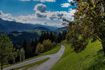Berge und Vogelbeeren