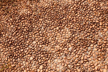 Small pebble stones. Stone texture background.