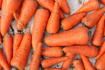collection of carrots. carrot texture background. Vegetarian food rich in vitamins
