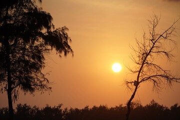 Sunset on the beach. View from the private resort in Mahabalipuram. Summer holidays background. Dark trees silhouettes with built architecture.