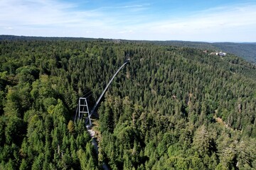 Bad Wildbad, Aussichtsturm des Baumwipfelpfad und Wildline Hängebrücke