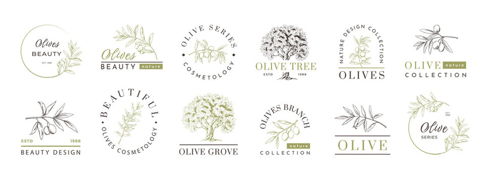 Olive oil logo, premium label elements collection. Green leaves emblem and text, nature packaging, tree product. Hand drawn isolated tree and branches. Healthy food vector design template set